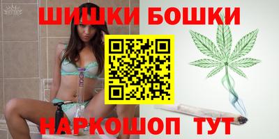 мдпв Татарск