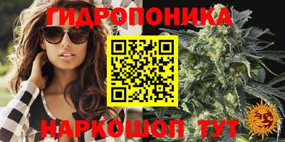 мдпв Татарск