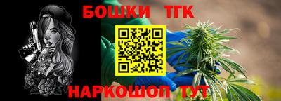 мдпв Татарск